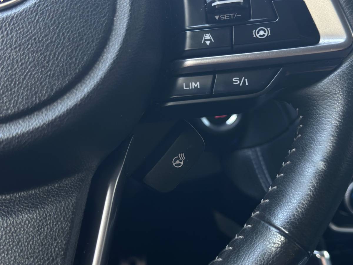 Subaru Forester Subaru Forester 2.0i e-BOXER Comfort Trekhaak / Camera / Stoel stuur verwarming.