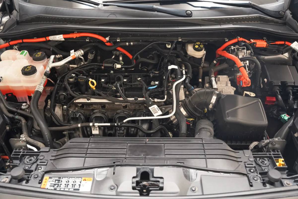 Ford Kuga Ford Kuga 2.5 PHEV ST-Line X Aut. [ Panoramadak Adapt.cruise Winterpakket ]