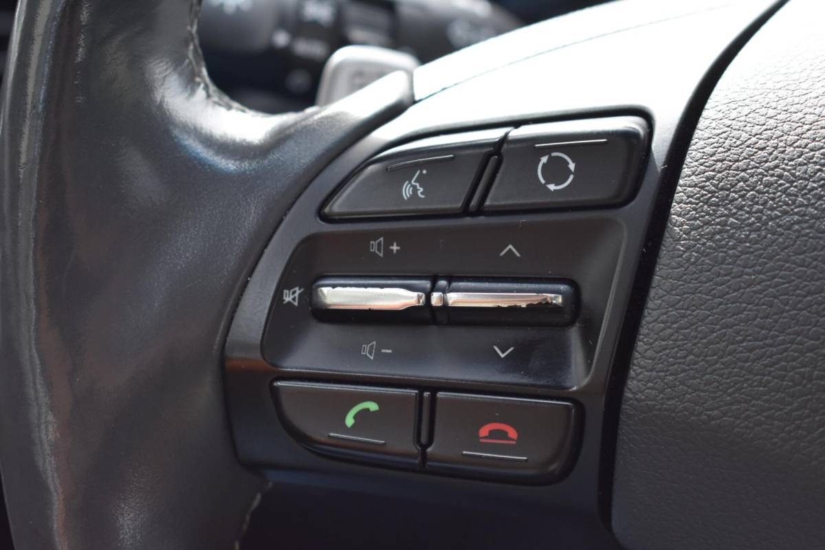 Hyundai IONIQ Hyundai IONIQ Premium EV | 100% SoH | Schuifdak | Leder | Memory | Infinity |