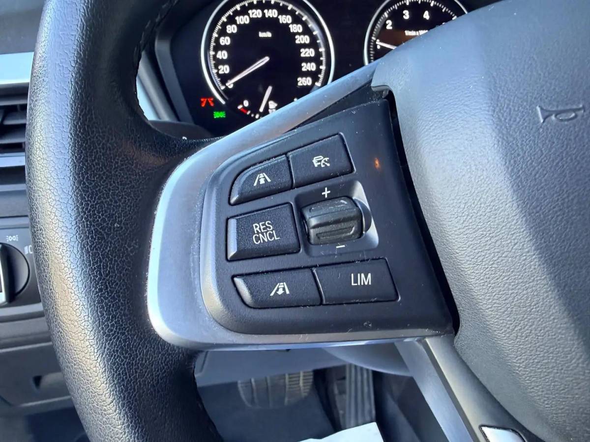 BMW X1 BMW X1 xDrive25e Executive TREKHAAK / CARPLAY / CAMERA / AIRCO / CRUISE CONTROLE / PHEV