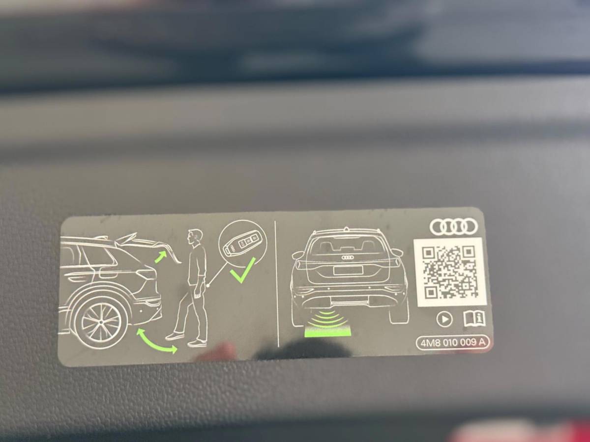 Audi RS3 Audi RS 3 Sportback 2.5 TFSI RS 3 quattro | Pano | carbon | Kuipstoelen | ACC | Keyless | Sfeerverlichting