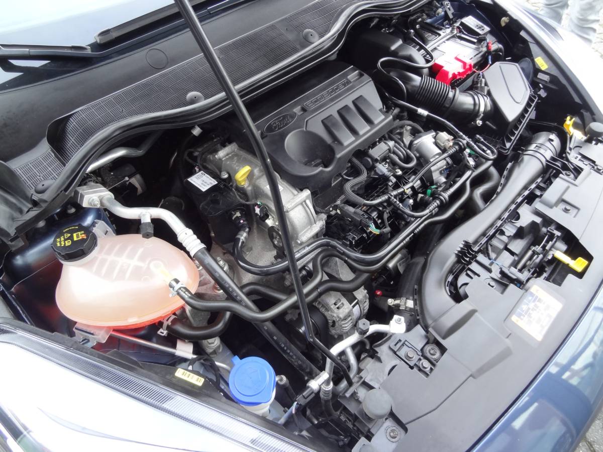 Ford Fiesta Ford Fiesta 1.0 EcoBoost Titanium | NL-AUTO | TREKHAAK | CRUISE | LMV | ECC | NAVI | CAMERA